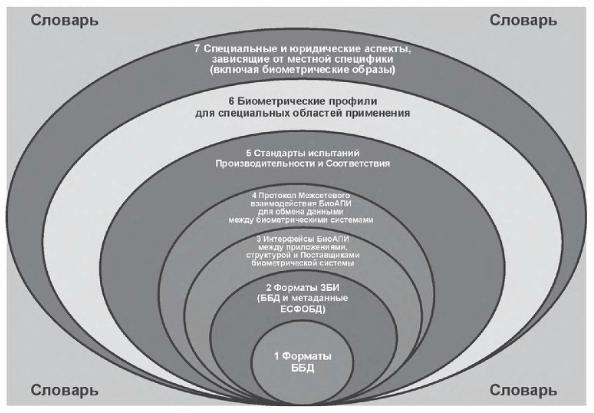 Р исо 2011. Биометрические уровни организации. Биометрический стандарты для проектирования зданий. Трехслойная модель мира. Биометрические данные правовые аспекты.